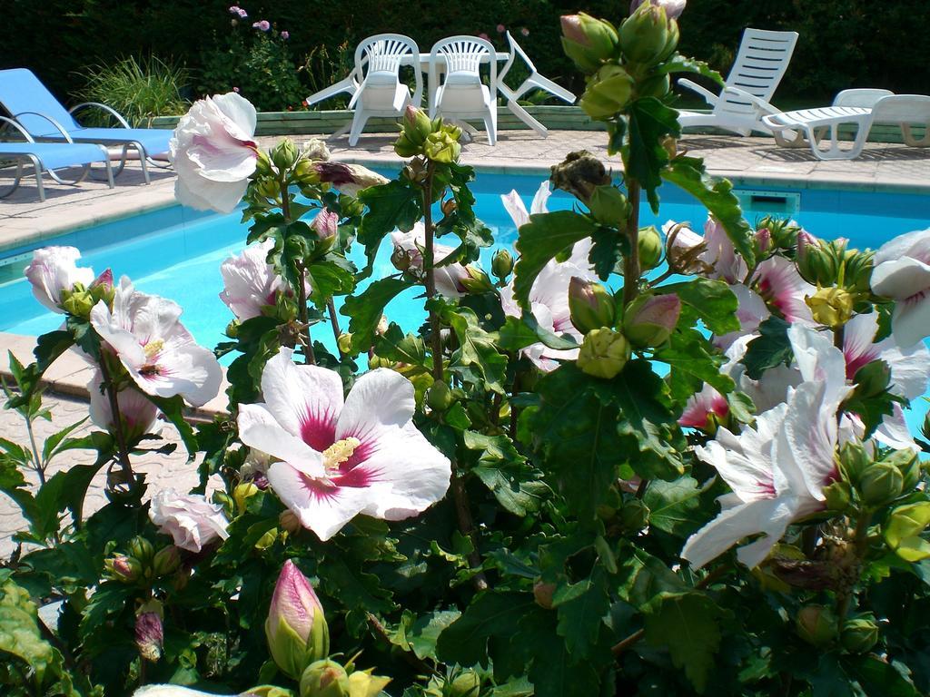 Chambres D'Hotes Le Clos Des Senteurs Malemort Exteriér fotografie